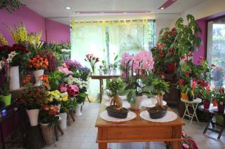 Fleuriste FLORE ET SENS 0