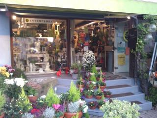 Fleuriste La Boutique Fleurie 0