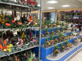 Fleuriste Espace Fleurs Colmar 0