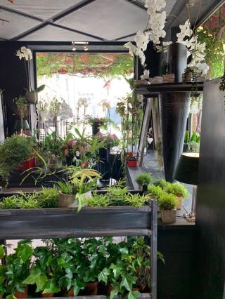 Fleuriste Amont Styl 0