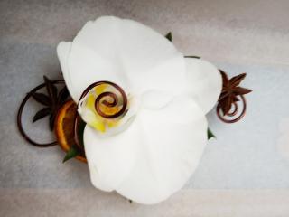 Fleuriste Les Fleurs de Milly 0