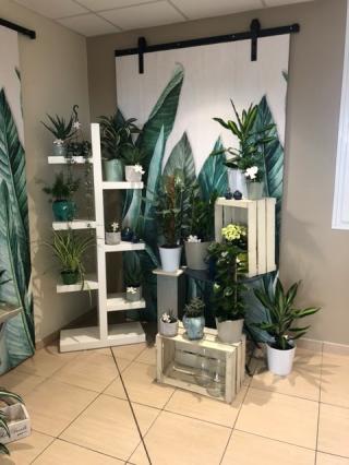 Fleuriste ANATO FLEURS - CITRON'ELLE 0