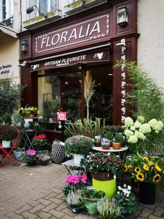 Fleuriste Floralia 0