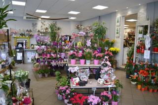 Fleuriste Fleuriste DENORMANDIE 0