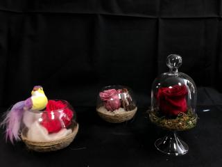 Fleuriste Un Jour Une Fleur BC Fleurs 0