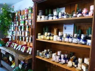 Fleuriste Marion Artisan Fleuriste 0