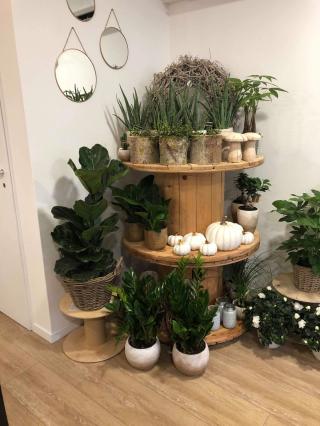 Fleuriste Agave artisan fleuriste 1