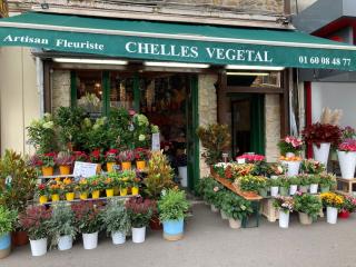 Fleuriste Chelles végétal 0