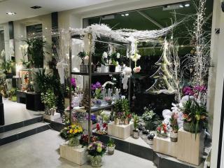 Fleuriste Dupont Fleurs 1