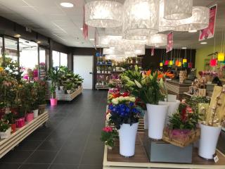 Fleuriste Carrément Fleurs - Fleuriste Montauban Nord 82 - Livraison de fleurs à domicile 0