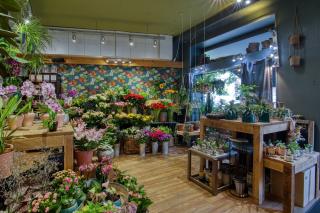 Fleuriste L'Emile Fleurs 0