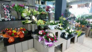 Fleuriste Jardin Fleuri 0