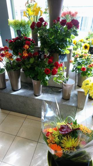 Fleuriste Jardin Fleuri 0