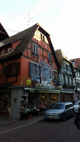 Fleuriste Touch à Fleurs SAS 0