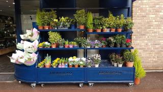 Fleuriste Interflora 2