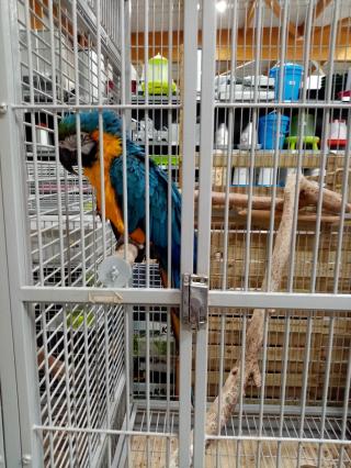 Fleuriste E.Leclerc Jardi 2