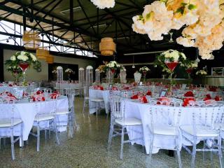 Fleuriste La Vie en Roses 0