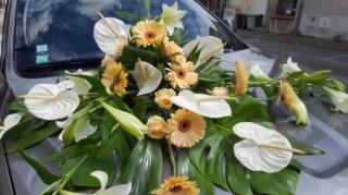 Fleuriste Eglantine Fleurs 0