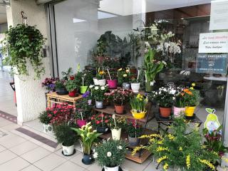 Fleuriste Arums de Fleurs 0