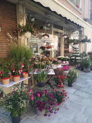 Fleuriste D-Emotions 0