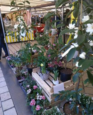 Fleuriste Fleurs Anne-marie Breton 0