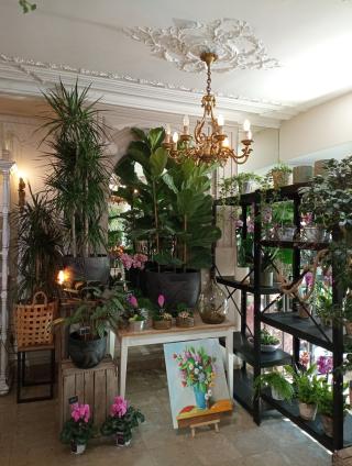 Fleuriste Jane-Luce 1