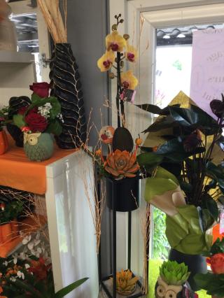 Fleuriste Celine fleurs 0