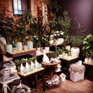 Fleuriste GENTLEMEN, Artisan Fleuriste 0