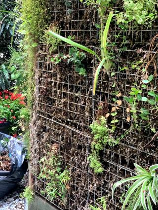 Fleuriste martino fleurs 0