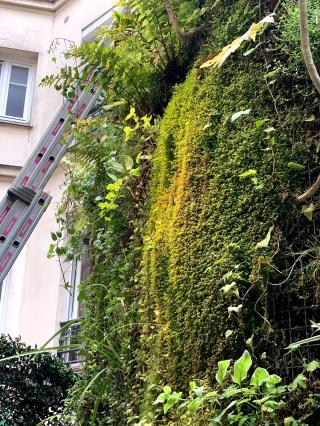 Fleuriste martino fleurs 0