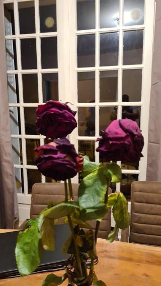 Fleuriste Floral concept 0