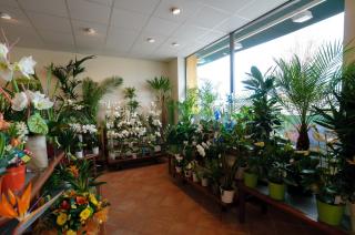 Fleuriste Le Jardin Des Fleurs 0
