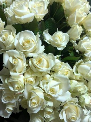 Fleuriste Exotica, Gilles Fretz Fleuriste 0