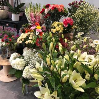 Fleuriste Au Chardon, Fleuriste Frontignan 0