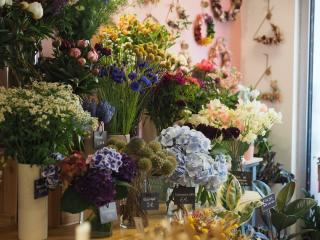 Fleuriste Les Herbes Sauvages 0