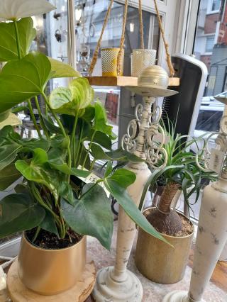 Fleuriste Autour d'une Fleur 0