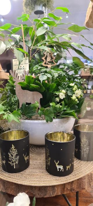 Fleuriste Autour d'une Fleur 0