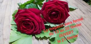 Fleuriste Autour d'une Fleur 0