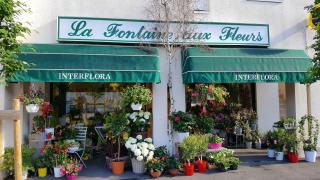 Fleuriste La Fontaine aux Fleurs 0