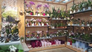 Fleuriste botanic Varennes-Vauzelles 0