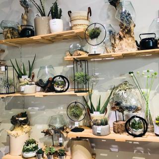 Fleuriste De Roses et de Ronces 1