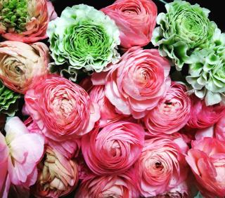 Fleuriste Pailhoux Fleurs 0