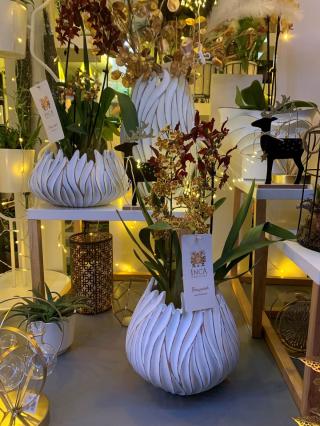 Fleuriste VERT AMANDE 0