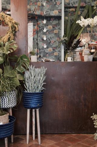 Fleuriste Maison Marguerite 0