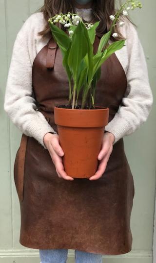 Fleuriste Maison Marguerite 0