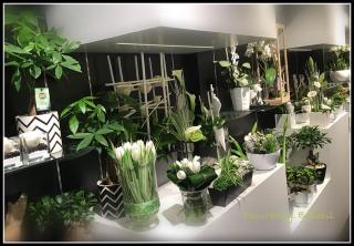 Fleuriste Fleurestyl 0