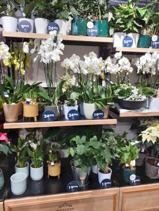 Fleuriste Monceau Fleurs 2