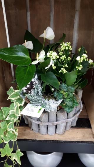 Fleuriste Any flor 0