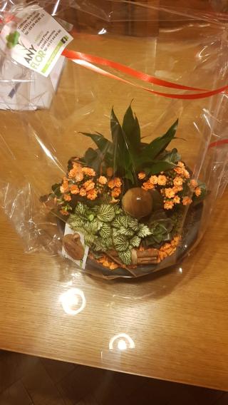 Fleuriste Any flor 0