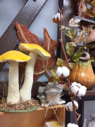 Fleuriste Rosette Fleurs 0